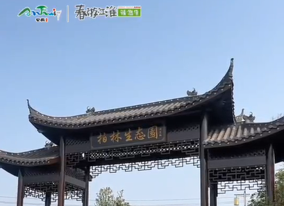 【舒城文旅】尋春而來～柏林生態(tài)園—舒城的春天怎能少了那一叢叢蒿子
